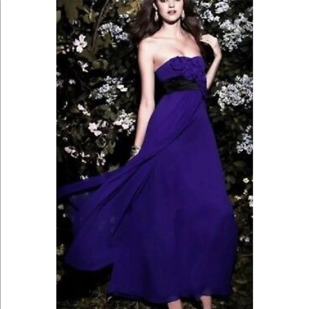 NWT BCBG Maxazria Silk Chiffon Strapless Dress